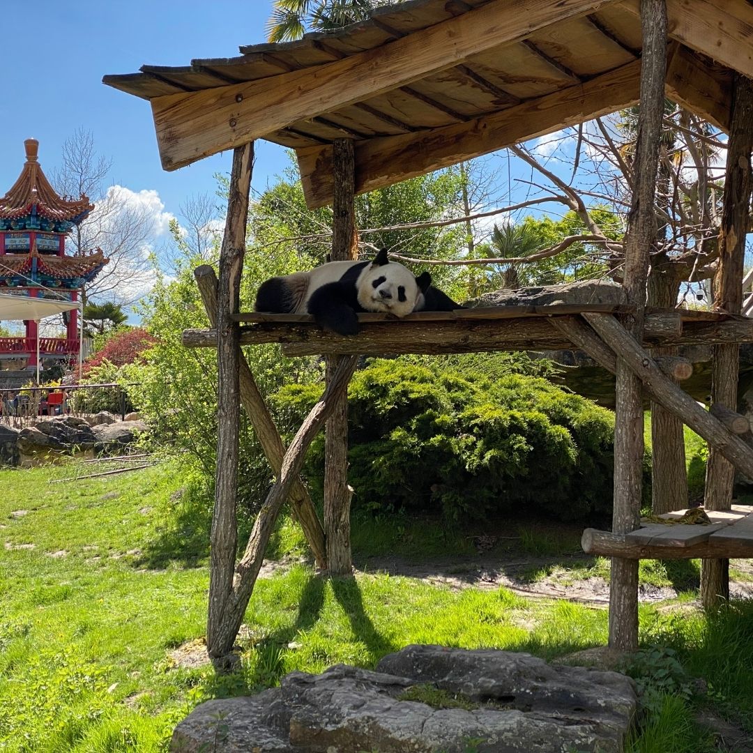 ZooParc de Beauval